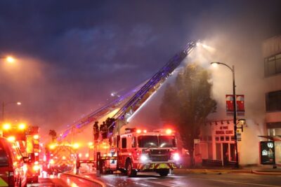 Влияние пожаров на биоразнообразие и окружающую среду